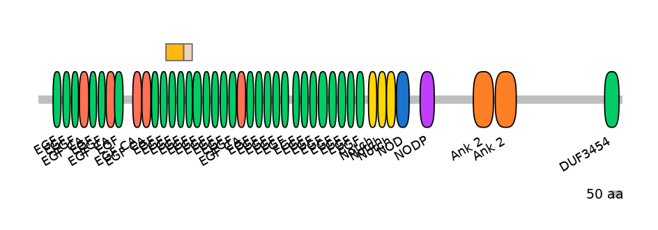 HsaINT0114809-EXC
