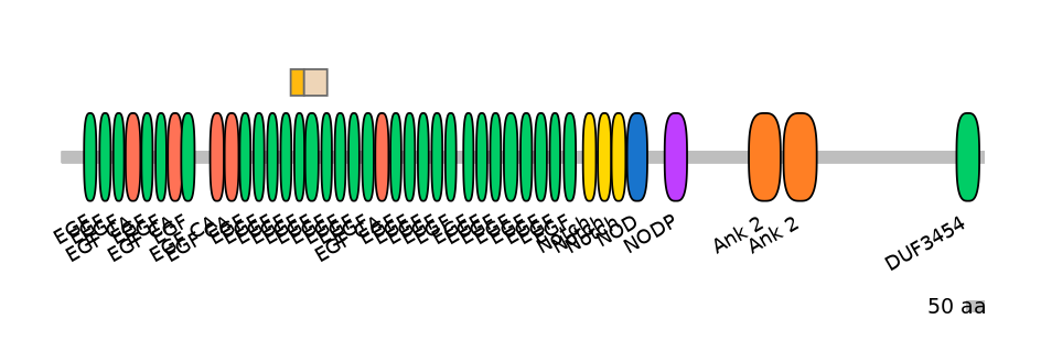 HsaINT0114810-EXC