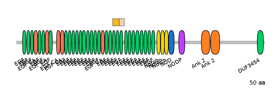 HsaINT0114817-EXC