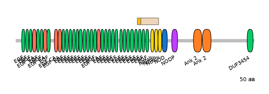 HsaINT0114823-EXC