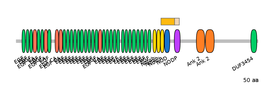 HsaINT0114825-EXC