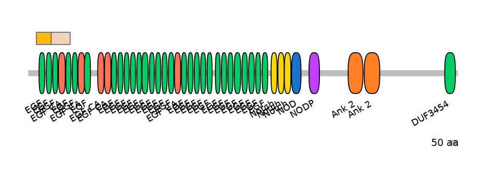 HsaINT0114829-EXC