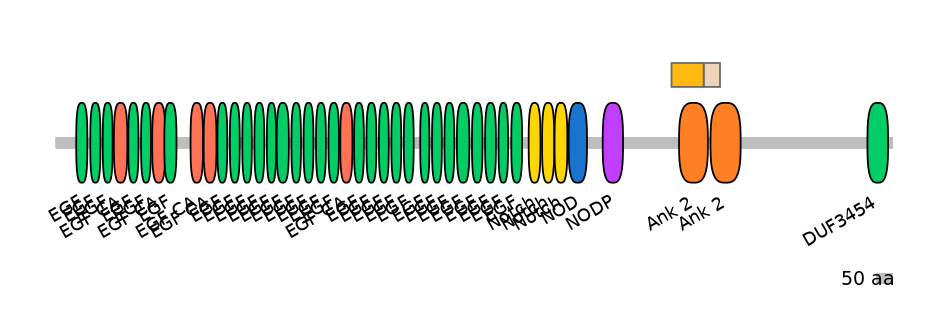 HsaINT0114831-EXC