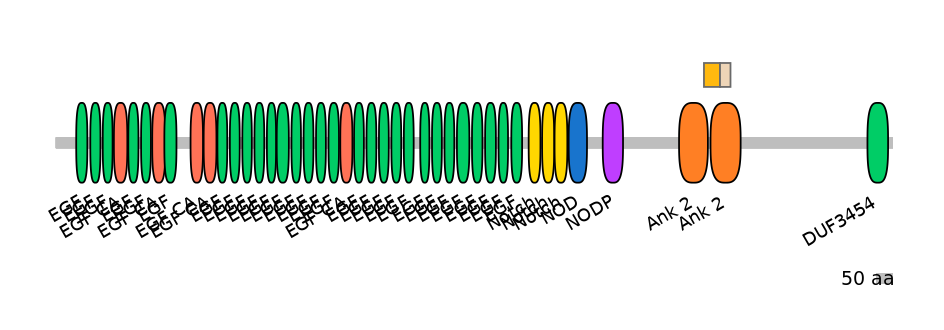 HsaINT0114832-EXC