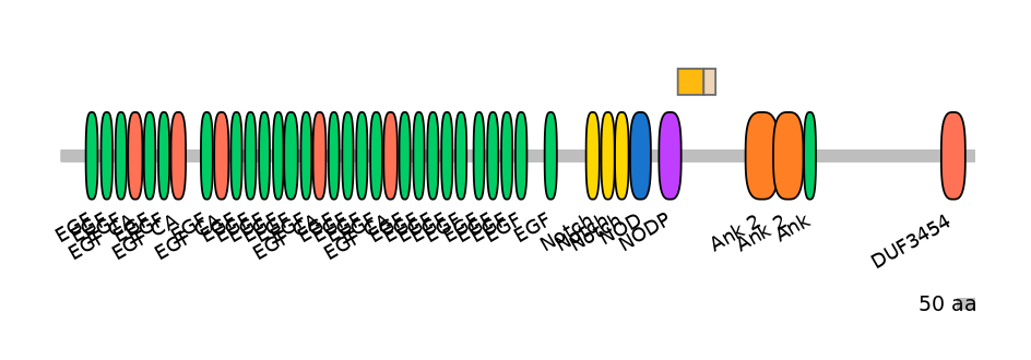 HsaINT0114860-EXC