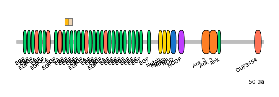 HsaINT0114872-EXC