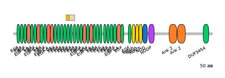 HsaINT0114880-EXC