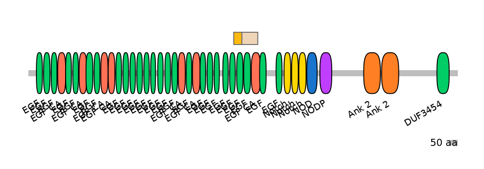 HsaINT0114890-EXC