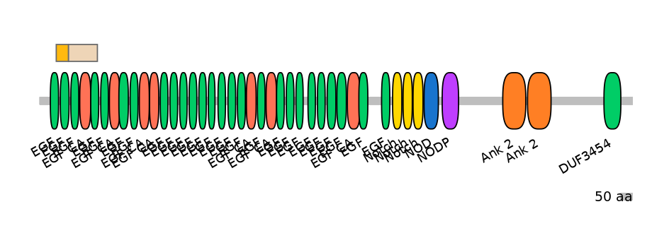 HsaINT0114899-EXC