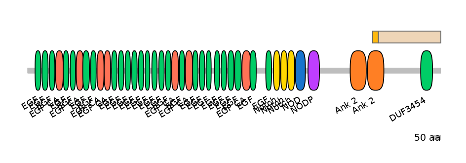 HsaINT0114902-EXC