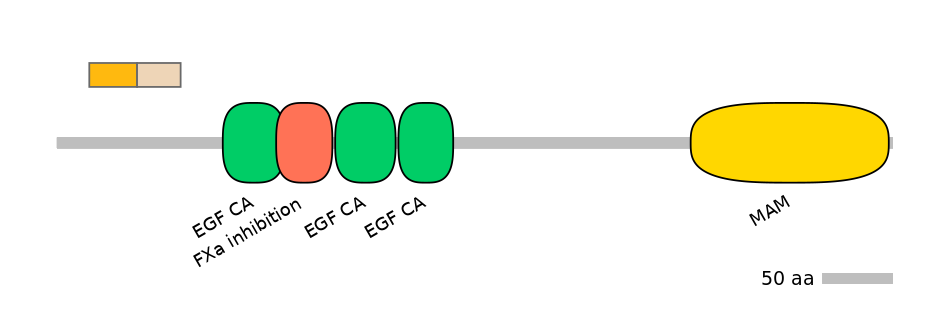 HsaINT0115364-EXC