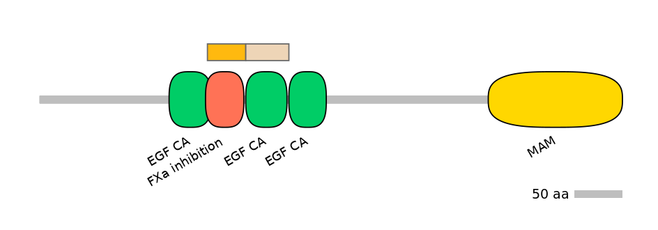 HsaINT0115368-EXC