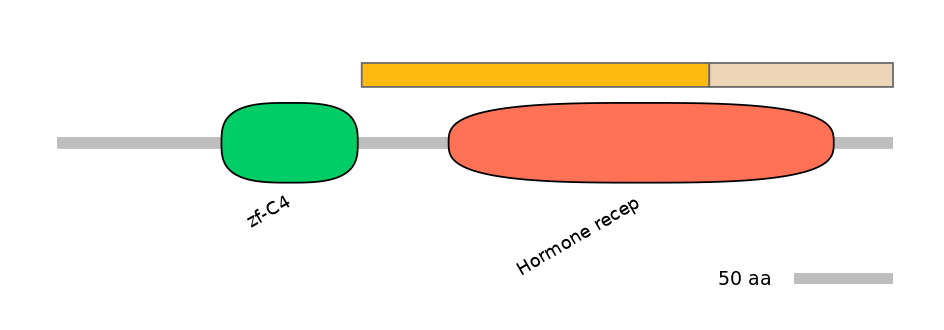 HsaINT0115618-EXC