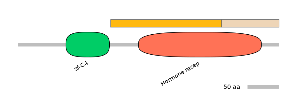 HsaINT0115622-EXC