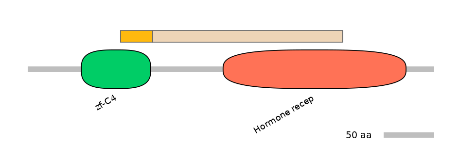 HsaINT0115624-EXC