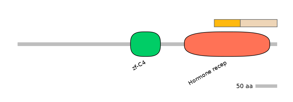 HsaINT0115659-EXC