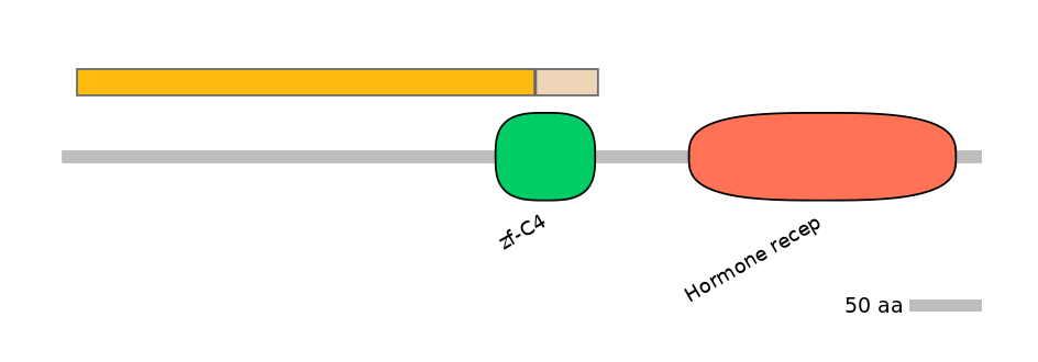 HsaINT0115663-EXC