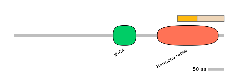 HsaINT0115666-EXC