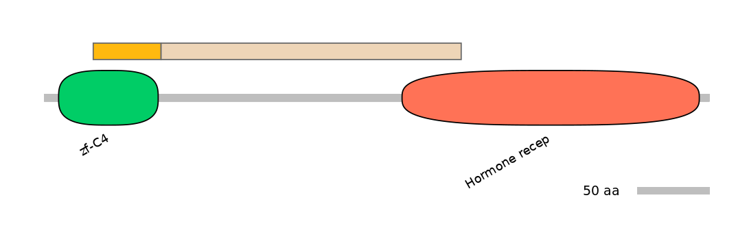 HsaINT0115669-EXC