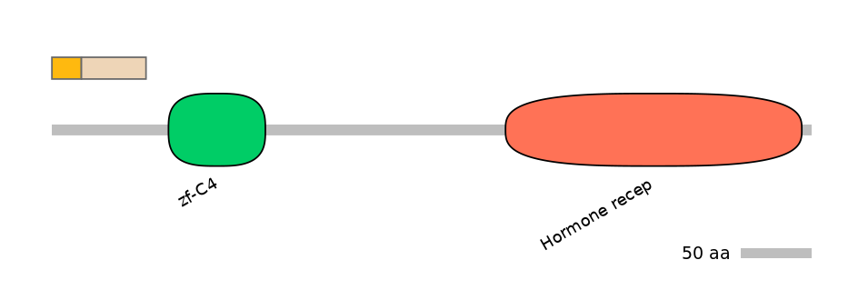 HsaINT0115673-EXC