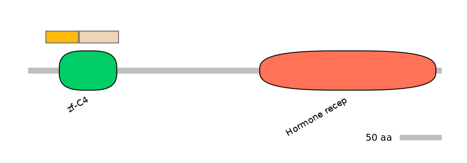 HsaINT0115674-EXC