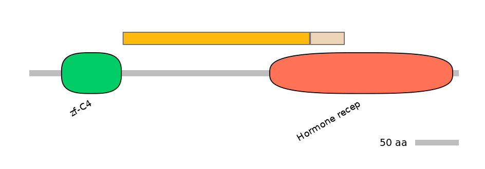 HsaINT0115676-EXC