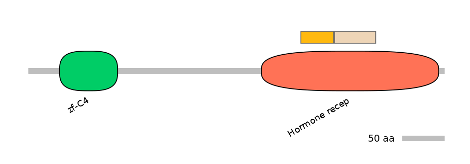 HsaINT0115677-EXC