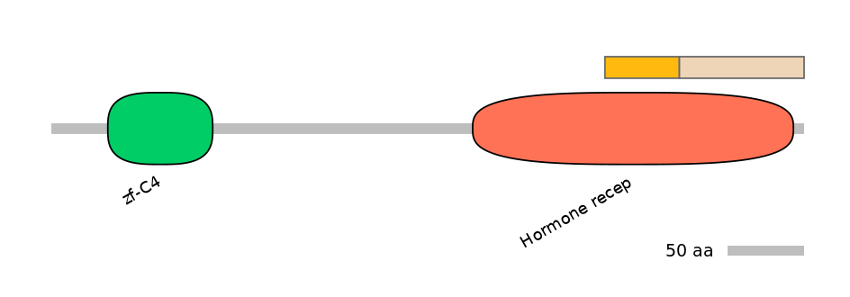 HsaINT0115678-EXC