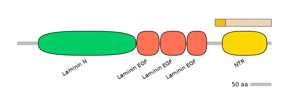 HsaINT0116385-EXC