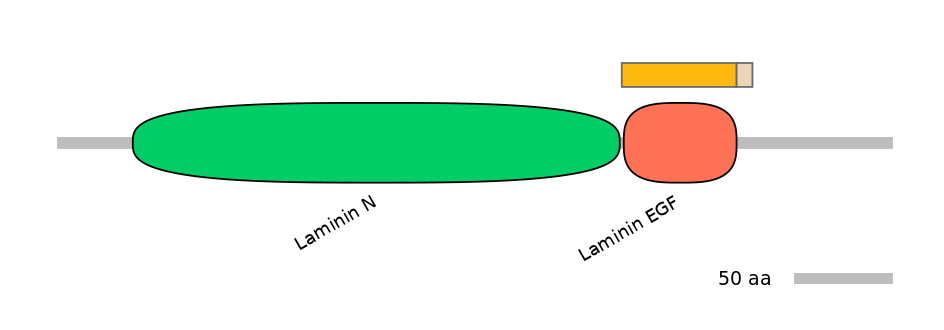 HsaINT0116419-EXC