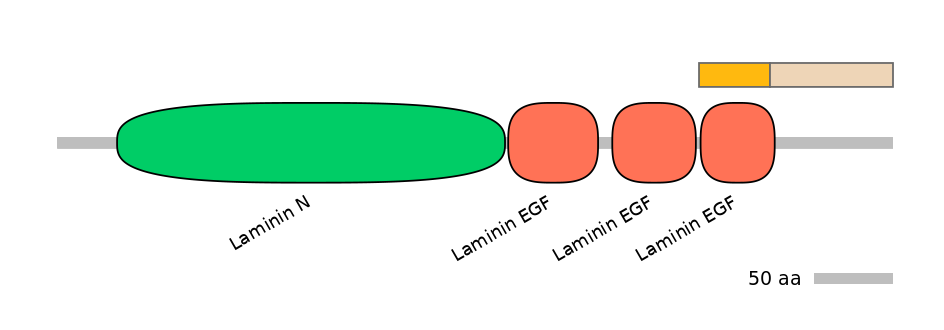 HsaINT0116422-EXC