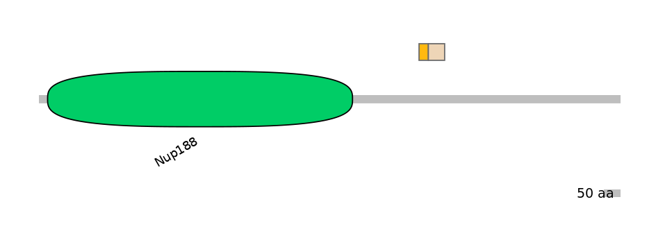 HsaINT0116935-EXC