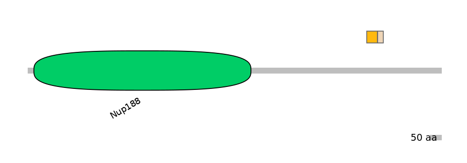HsaINT0116941-EXC