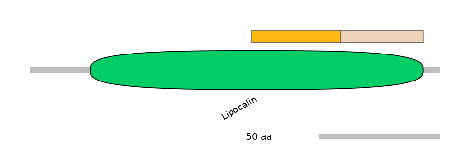 HsaINT0117563-EXC