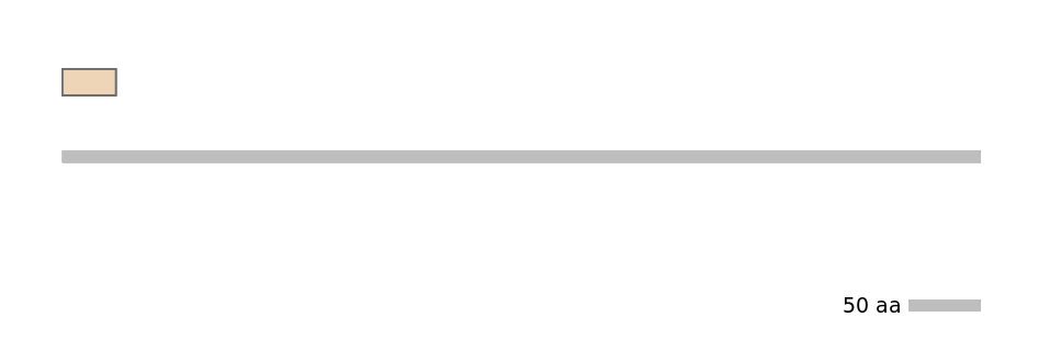 HsaINT0117835-INC