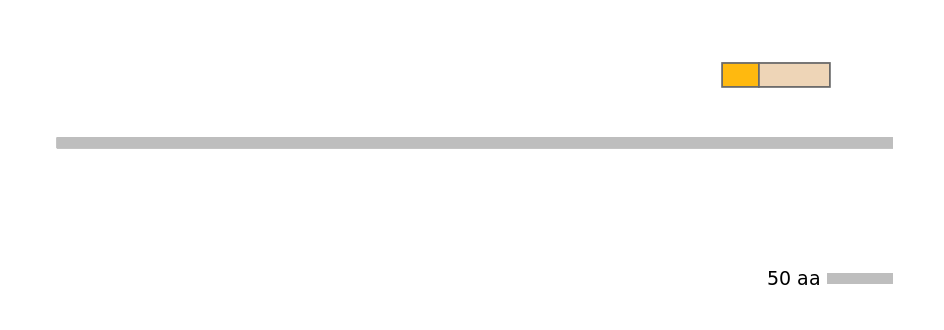 HsaINT0117839-EXC