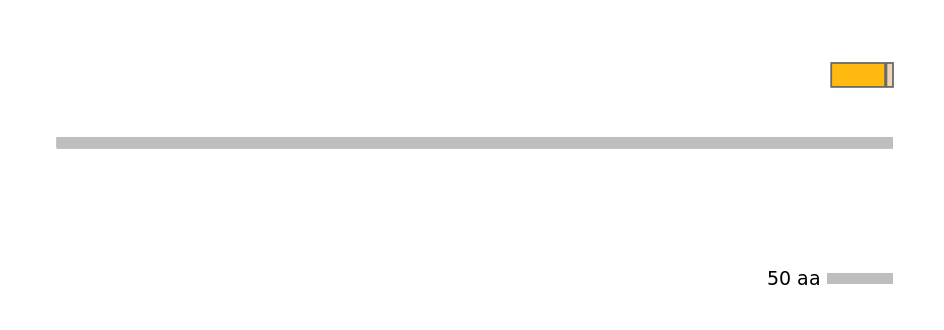 HsaINT0117841-EXC
