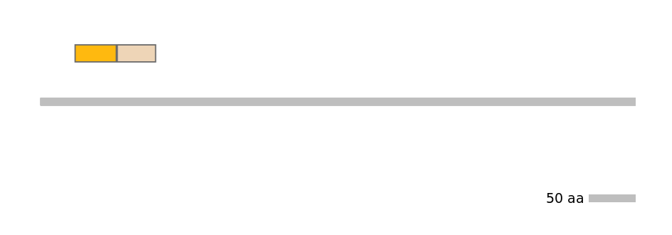 HsaINT0117842-EXC