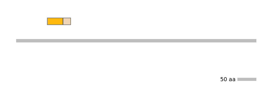 HsaINT0117843-EXC
