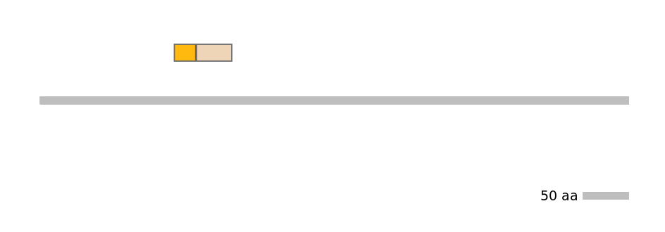 HsaINT0117845-EXC