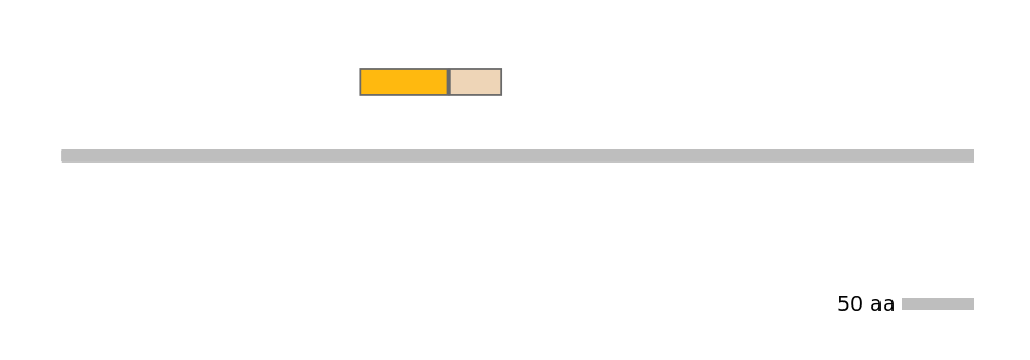 HsaINT0117847-EXC