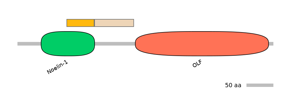 HsaINT0118167-EXC