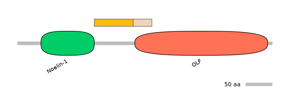 HsaINT0118168-EXC