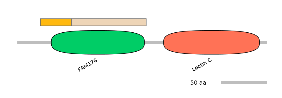 HsaINT0118196-EXC
