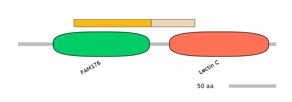 HsaINT0118197-EXC