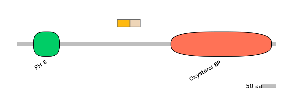 HsaINT0118630-EXC