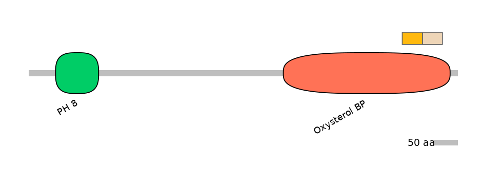HsaINT0118640-EXC