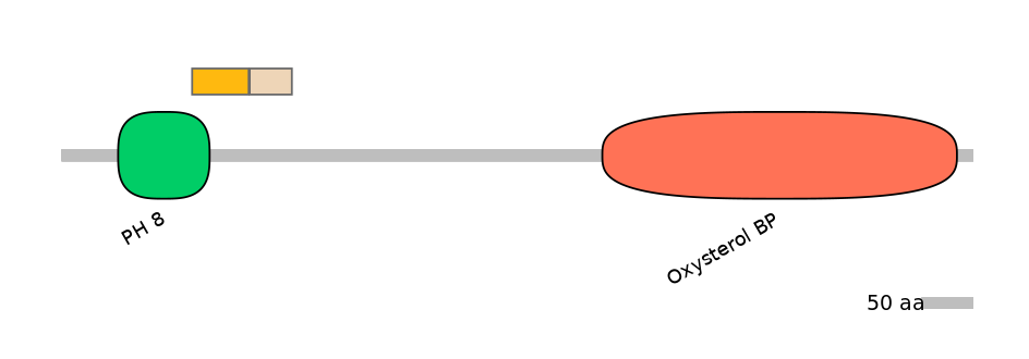 HsaINT0118645-EXC