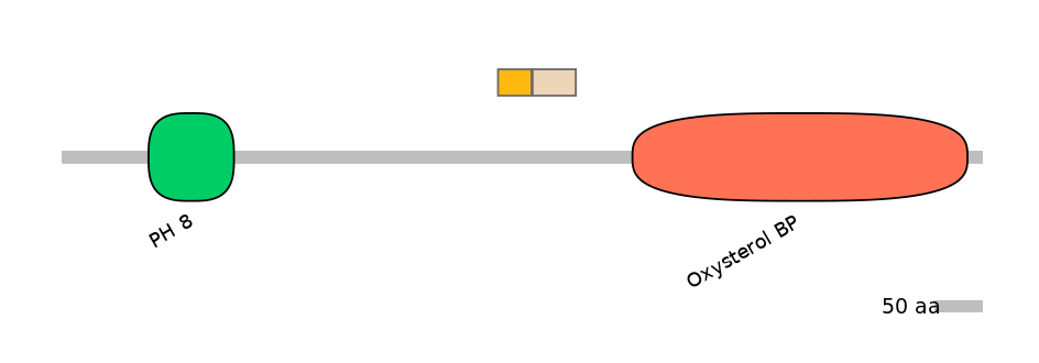 HsaINT0118680-EXC