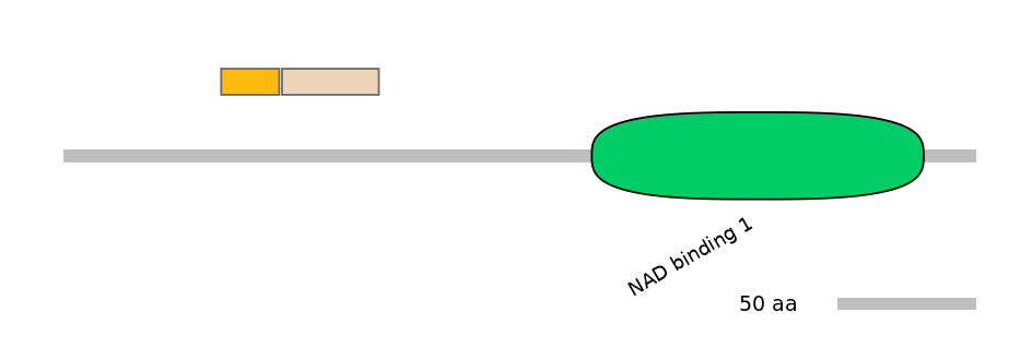 HsaINT0119164-EXC
